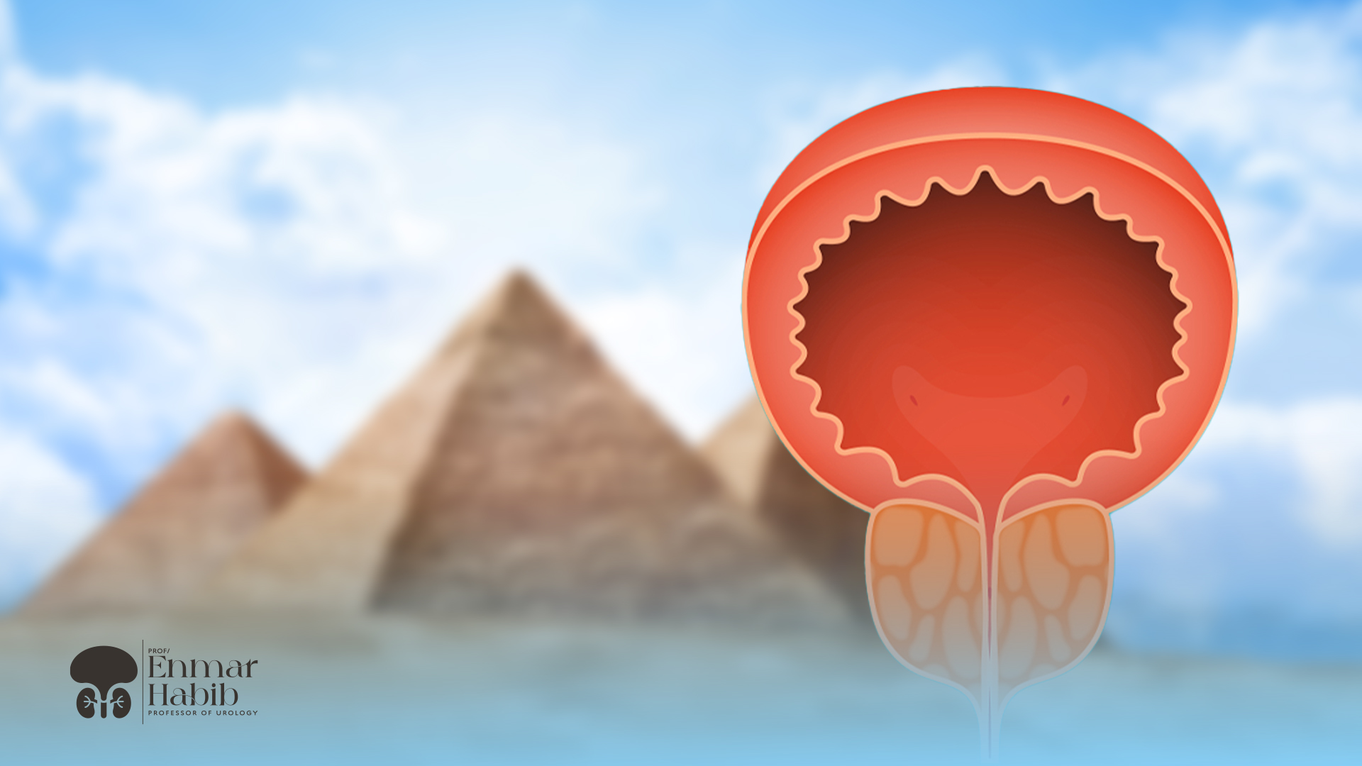 علاج-البروستاتا-في-مصر علاج-البروستاتا-في-مصر